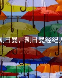 凯日曼，凯日曼经纪人