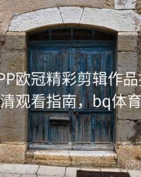 B体育APP欧冠精彩剪辑作品推送 - 高清观看指南，bq体育