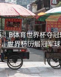 历年盘点｜B体育世界杯夺冠球队数据大揭秘，世界杯历届冠军球队数量