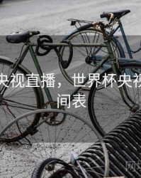 世界杯央视直播，世界杯央视直播时间表