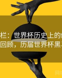 B体育专栏：世界杯历史上的经典黑马 - 热度回顾，历届世界杯黑马球队