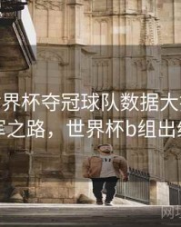 B体育世界杯夺冠球队数据大揭秘 - 冠军之路，世界杯b组出线