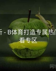 功能解析 - B体育打造专属热门赛事观看专区