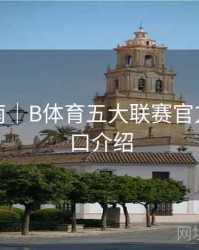 用户指南｜B体育五大联赛官方数据接口介绍
