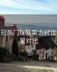 B体育欧冠热门球队实力对比解析 - 球星对比