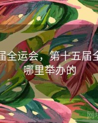 第十五届全运会，第十五届全运会在哪里举办的