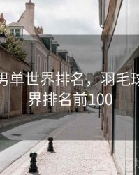 羽毛球男单世界排名，羽毛球男单世界排名前100