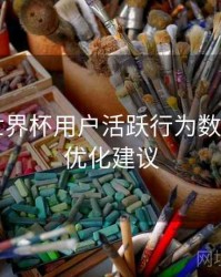 B体育世界杯用户活跃行为数据洞察｜优化建议