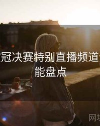 B体育欧冠决赛特别直播频道介绍 - 功能盘点