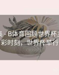 亮点合集 - B体育回顾世界杯主办国精彩时刻，世界杯举行