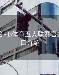 观赛体验 - B体育五大联赛官方数据接口介绍