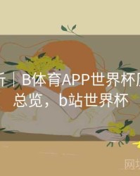 回顾解析｜B体育APP世界杯历史赛程总览，b站世界杯