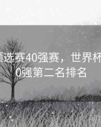 世界杯预选赛40强赛，世界杯预选赛40强第二名排名