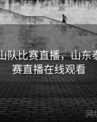 山东泰山队比赛直播，山东泰山队比赛直播在线观看