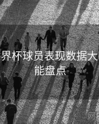 B体育世界杯球员表现数据大曝光 - 功能盘点