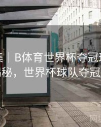 亮点合集｜B体育世界杯夺冠球队数据大揭秘，世界杯球队夺冠次数