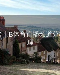 官方公告｜B体育直播频道分类全面梳理