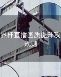 B体育世界杯直播画质提升攻略 - 积分规则