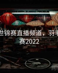 羽毛球世锦赛直播频道，羽毛球世锦赛2022