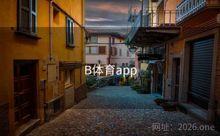 B体育app