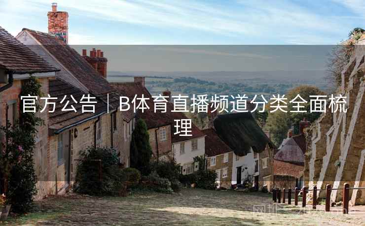 官方公告｜B体育直播频道分类全面梳理