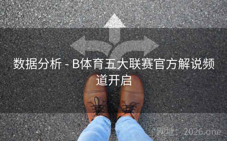 数据分析 - B体育五大联赛官方解说频道开启