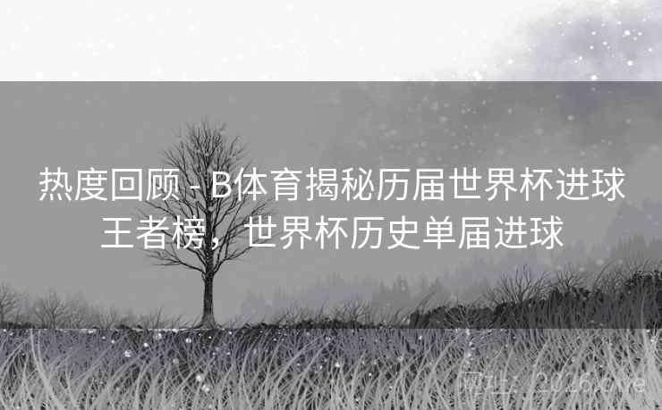 热度回顾 - B体育揭秘历届世界杯进球王者榜，世界杯历史单届进球
