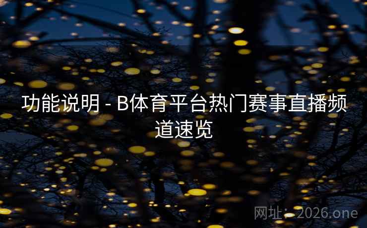功能说明 - B体育平台热门赛事直播频道速览