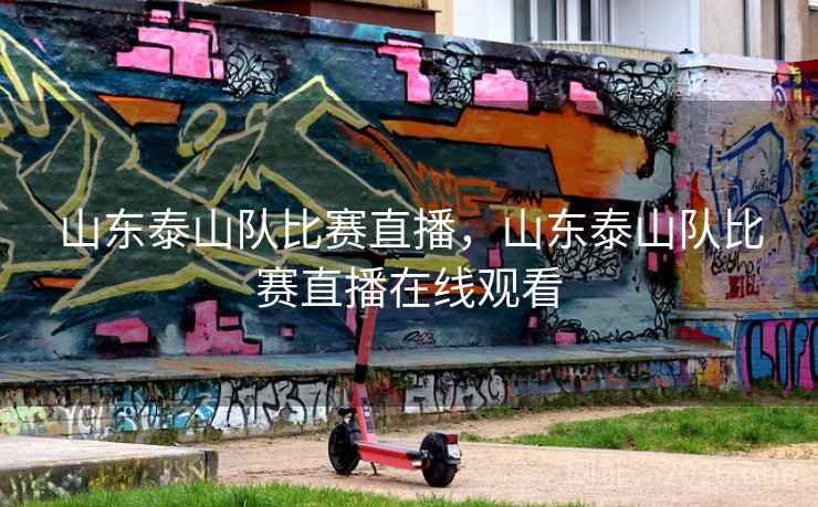 山东泰山队比赛直播，山东泰山队比赛直播在线观看