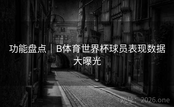 功能盘点｜B体育世界杯球员表现数据大曝光