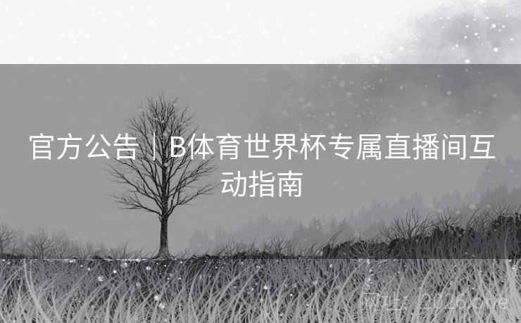官方公告｜B体育世界杯专属直播间互动指南