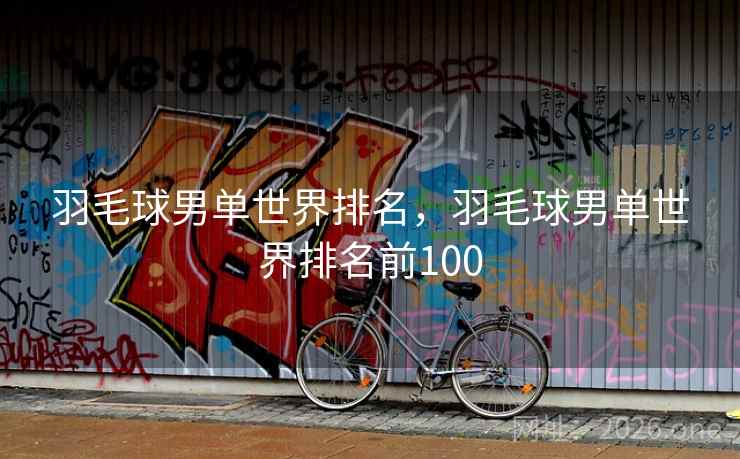 羽毛球男单世界排名，羽毛球男单世界排名前100