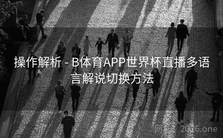 操作解析 - B体育APP世界杯直播多语言解说切换方法