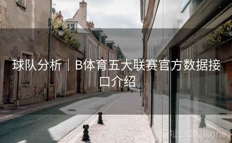 球队分析｜B体育五大联赛官方数据接口介绍
