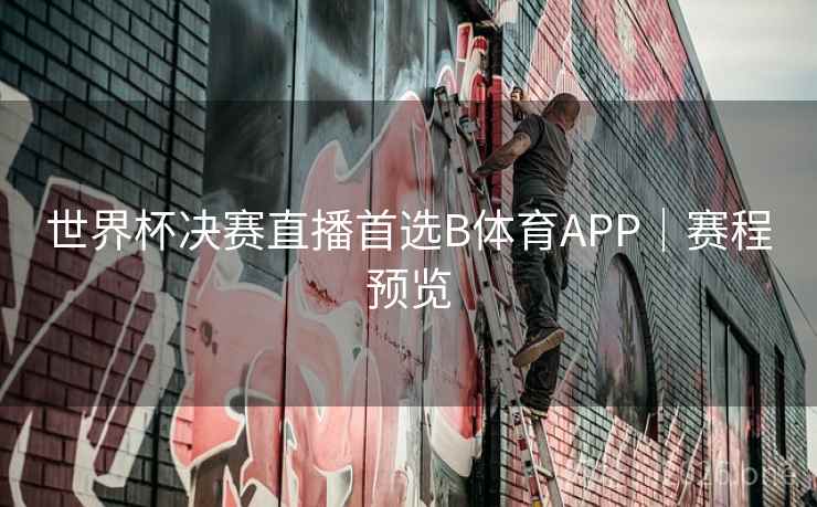 世界杯决赛直播首选B体育APP｜赛程预览
