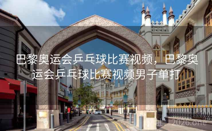 巴黎奥运会乒乓球比赛视频，巴黎奥运会乒乓球比赛视频男子单打