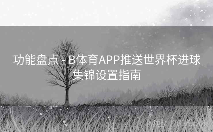 功能盘点 - B体育APP推送世界杯进球集锦设置指南