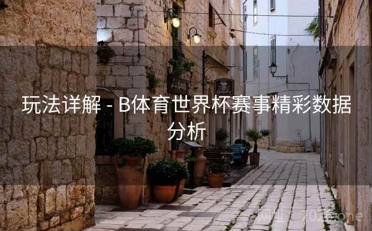 玩法详解 - B体育世界杯赛事精彩数据分析