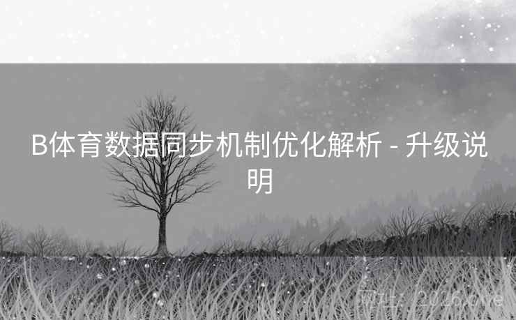 B体育数据同步机制优化解析 - 升级说明