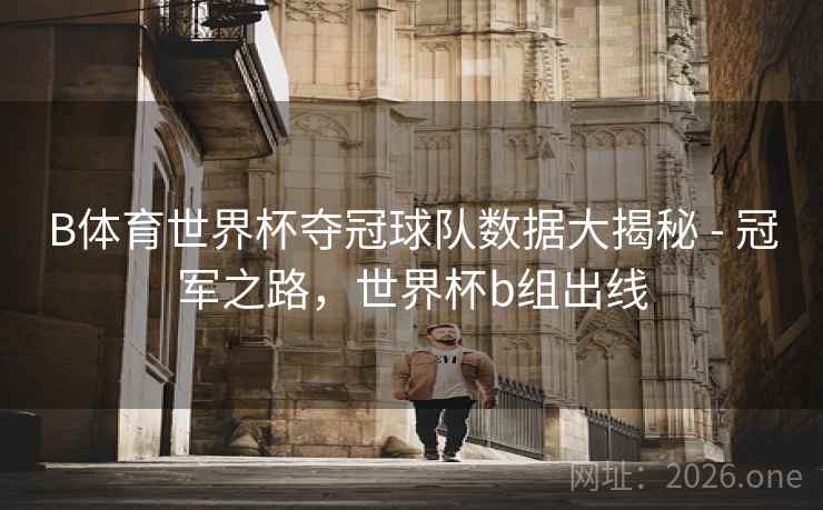 B体育世界杯夺冠球队数据大揭秘 - 冠军之路，世界杯b组出线