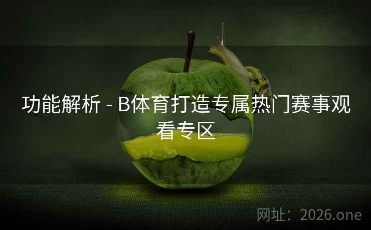 功能解析 - B体育打造专属热门赛事观看专区