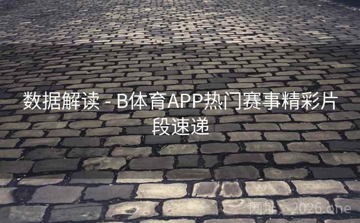 数据解读 - B体育APP热门赛事精彩片段速递