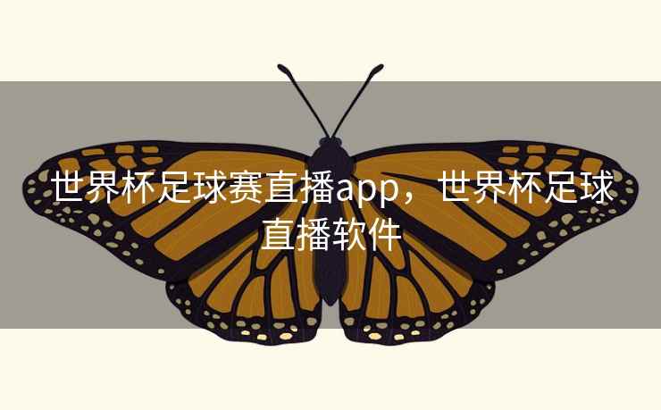 世界杯足球赛直播app，世界杯足球直播软件