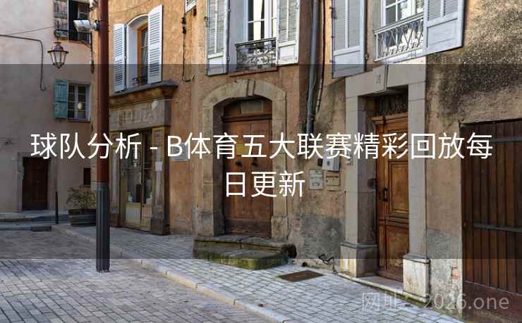 球队分析 - B体育五大联赛精彩回放每日更新