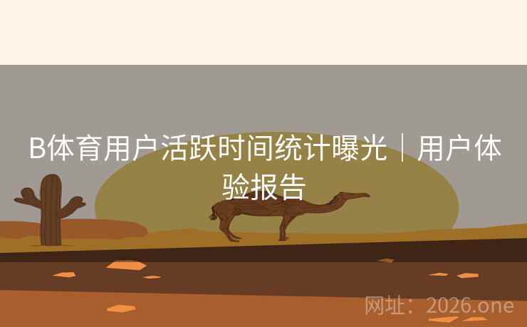 B体育用户活跃时间统计曝光｜用户体验报告