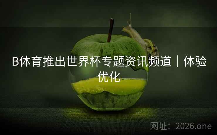 B体育推出世界杯专题资讯频道｜体验优化
